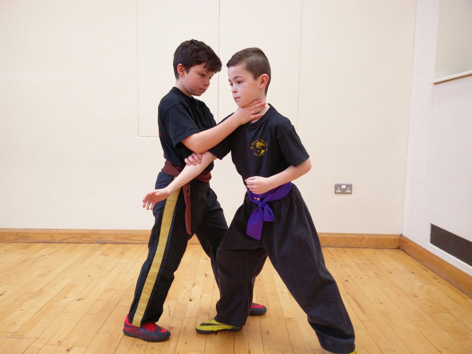 Junior students working on their locking techniques at the recent Master John Russell Training Weekend